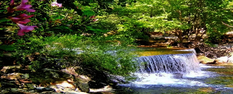 Kazdağı Milli Parkı